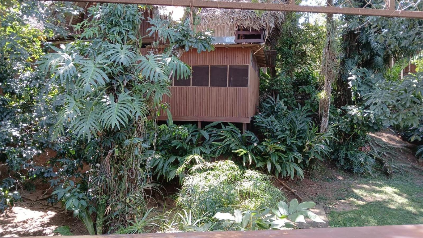 ריו דולצ'ה Tortugal Boutique River Lodge מראה חיצוני תמונה